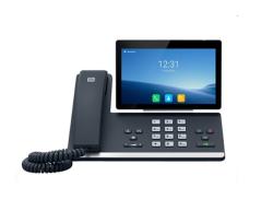 2N IP Phone D7A